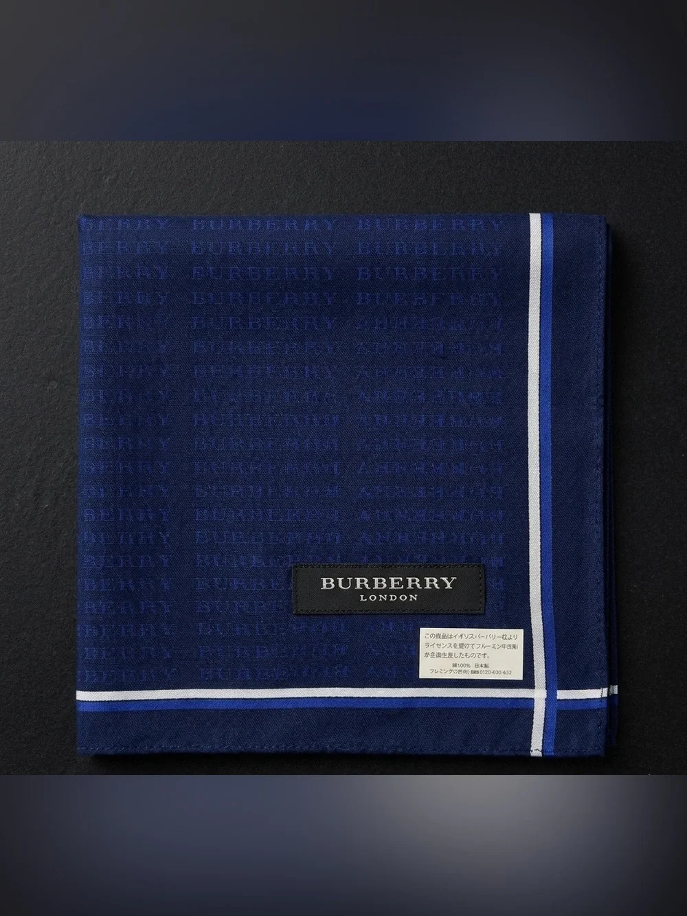 Burberry description elevate
